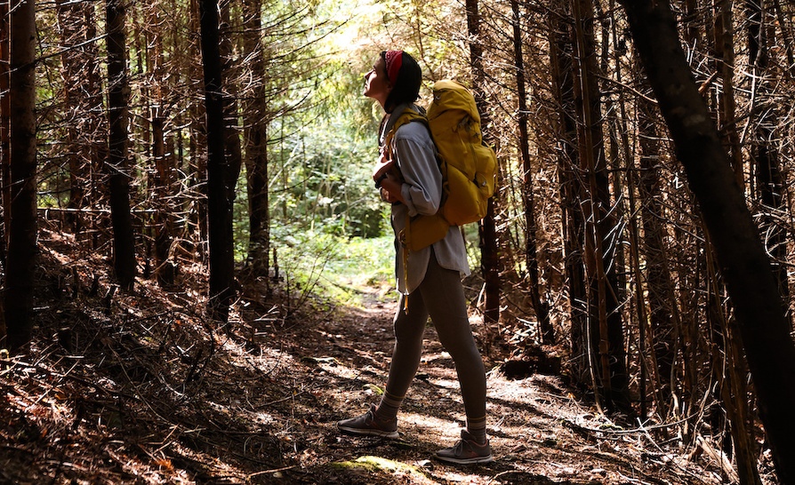 Symbolbild für Orientierung und Sicherheit durch Notfallmanagement in Krisensituationen